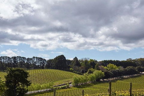 Adelaide Hills Full Day Winery Tour With Tastings - Accommodation Coffs Harbour 4