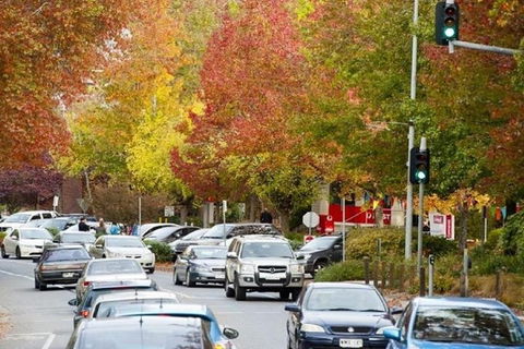 Adelaide Hills Full Day Winery Tour With Tastings - Accommodation Coffs Harbour 3