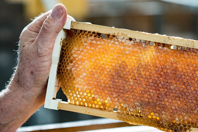 Kangaroo Inn SA Accommodation Coffs Harbour