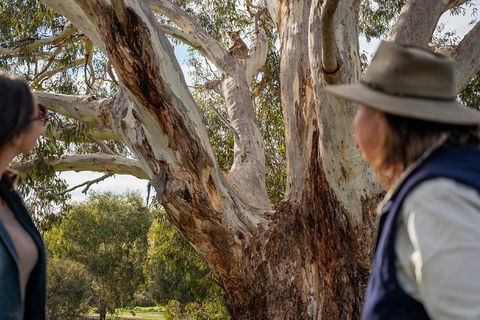 NEW TOUR - Kangaroo Island Road To Recovery Tour (1 Day/1 Night) - Accommodation Coffs Harbour 2