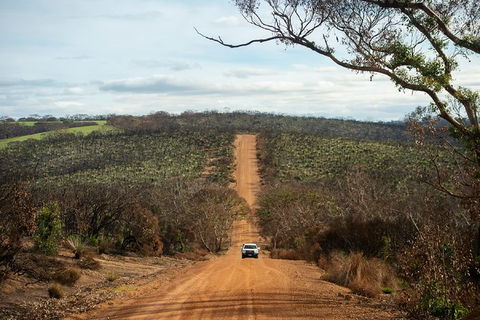 NEW TOUR - Kangaroo Island Road To Recovery Tour (1 Day/1 Night) - Accommodation Coffs Harbour 1