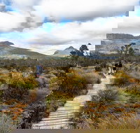 Cradle Mountain Day Tour - Accommodation Coffs Harbour