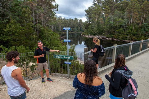 Tahune Airwalk Active Day Trip From Hobart Including Hastings Caves - Accommodation Coffs Harbour 3