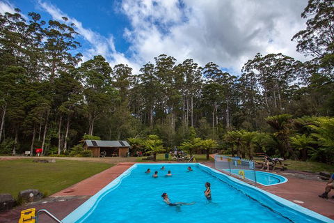 Tahune Airwalk Active Day Trip From Hobart Including Hastings Caves - Accommodation Coffs Harbour 2