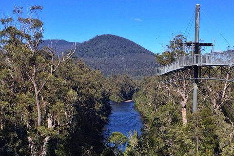 Tahune Airwalk Active Day Trip From Hobart Including Hastings Caves - Accommodation Coffs Harbour 6