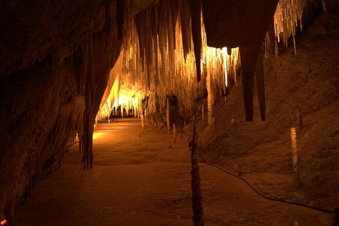 Tahune Airwalk Active Day Trip From Hobart Including Hastings Caves - Accommodation Coffs Harbour 8