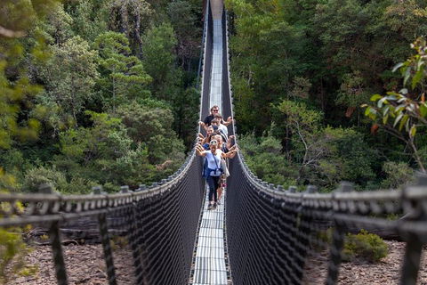 Tahune Airwalk Active Day Trip From Hobart Including Hastings Caves - Accommodation Coffs Harbour 0