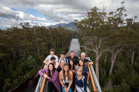 Tahune Airwalk Active Day Trip From Hobart Including Hastings Caves - Accommodation Coffs Harbour 1