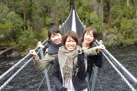Tahune Airwalk Active Day Trip From Hobart Including Hastings Caves - Accommodation Coffs Harbour 7