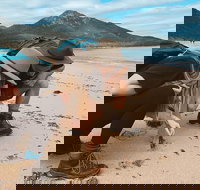 Freycinet Walking Tour - Accommodation Coffs Harbour