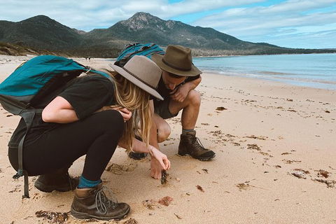 Freycinet Walking Tour - Accommodation Coffs Harbour 0