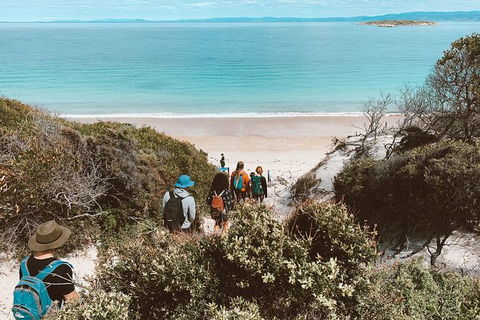 Freycinet Walking Tour - Accommodation Coffs Harbour 2