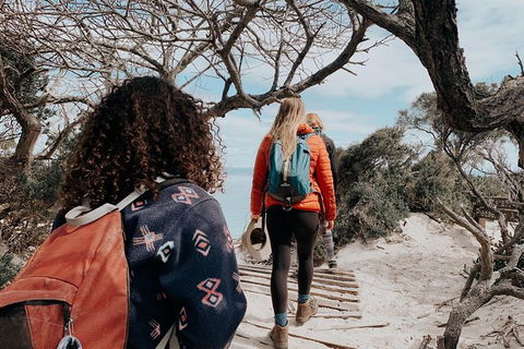 Freycinet Walking Tour - Accommodation Coffs Harbour 6