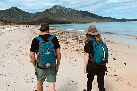 Freycinet Walking Tour - Accommodation Coffs Harbour 7