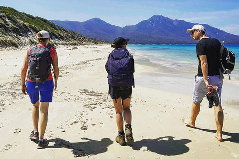 Freycinet Walking Tour - Accommodation Coffs Harbour 1