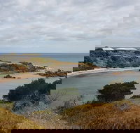 Shore Excursion Coast Caves and Wildlife Park - 8 hour tour - Accommodation Coffs Harbour