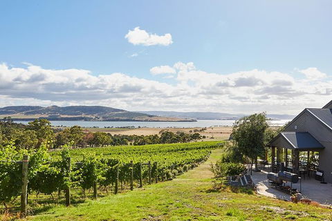 Launceston Wine & Sightseeing Tours - Accommodation Coffs Harbour 0