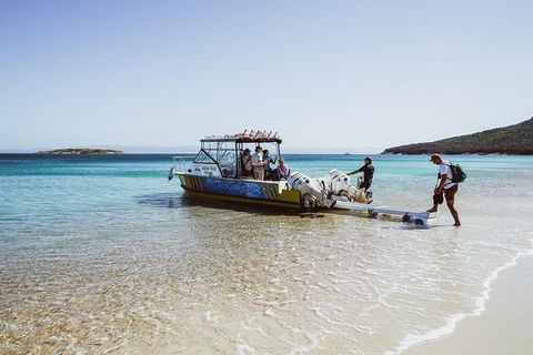 Sea & Explore Wineglass Bay & Freycinet National Park - Cruise & Walk - Accommodation Coffs Harbour 3