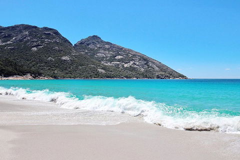 Sea & Explore Wineglass Bay & Freycinet National Park - Cruise & Walk - Accommodation Coffs Harbour 4