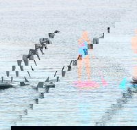 Stand Up Paddle Boarding Hire - Accommodation Coffs Harbour