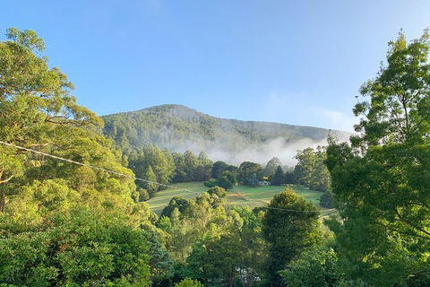 Hiking Tour To Aqueduct And Warburton Valley Lookout - Accommodation Coffs Harbour 0