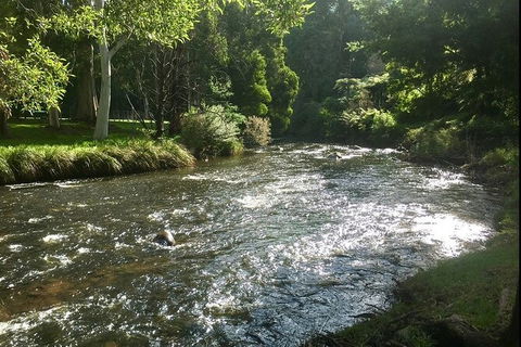 Watertube Experience In Yarra River - Accommodation Coffs Harbour 3