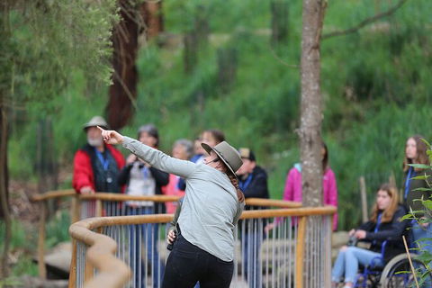 Walk With Wildlife: Guided Tour In Great Ocean Road - Accommodation Coffs Harbour 0