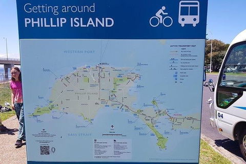 Phillip Island Penguin And Wildlife Tour - Accommodation Coffs Harbour 28