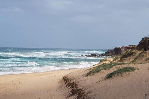 Phillip Island Penguin And Wildlife Tour - Accommodation Coffs Harbour 10