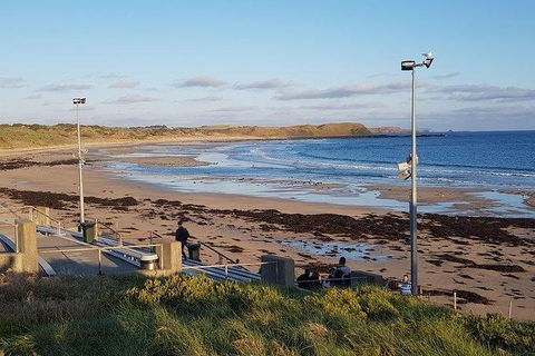 Phillip Island Penguin And Wildlife Tour - Accommodation Coffs Harbour 8