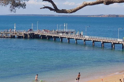 Phillip Island Penguin And Wildlife Tour - Accommodation Coffs Harbour 2