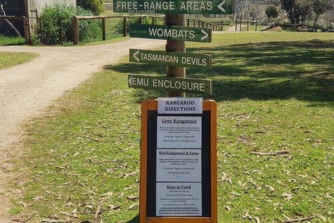 Phillip Island Penguin And Wildlife Tour - Accommodation Coffs Harbour 4