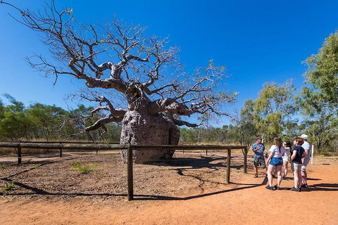 5 Day Bungle Bungles & Cattle Station Explorer - Accommodation Coffs Harbour 2