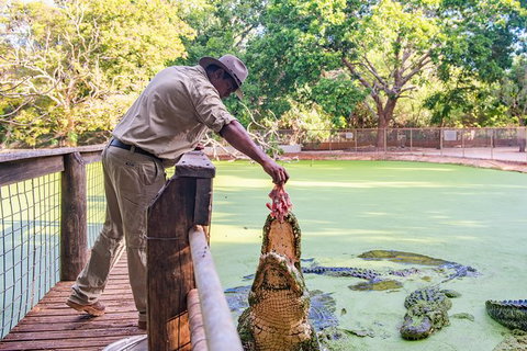 Malcolm Douglas Crocodile Park - Accommodation Coffs Harbour 3