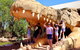 Malcolm Douglas Crocodile Park - thumb 7