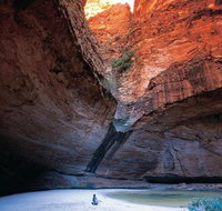 Bungle Bungle Day Trip from Broome - Fly 4WD Walk - Accommodation Coffs Harbour