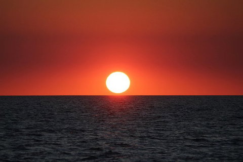 Roebuck Bay Snubfin Dolphin Cruise - Accommodation Coffs Harbour 1
