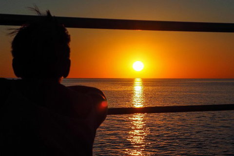 Roebuck Bay Snubfin Dolphin Cruise - Accommodation Coffs Harbour 4