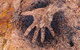 Wandjina Explorer - Incredible Kimberley Coast Tour - thumb 8