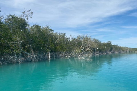 Dinosaur Adventure Tour - Accommodation Coffs Harbour 12
