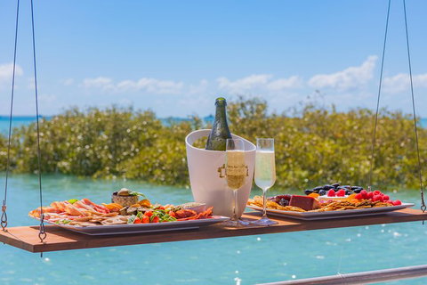 Dinosaur Adventure Tour - Accommodation Coffs Harbour 0