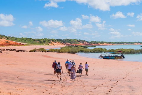 Dinosaur Adventure Tour - Accommodation Coffs Harbour 4