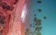 Dinosaur Adventure Tour - thumb 6