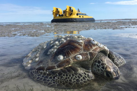 Prehistoric Bubbles And Nibbles Hovercraft Tour - Accommodation Coffs Harbour 2