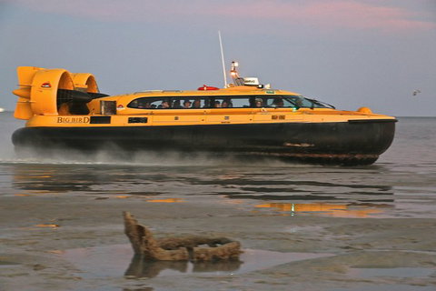 Prehistoric Bubbles And Nibbles Hovercraft Tour - Accommodation Coffs Harbour 4