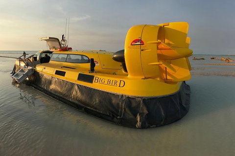 Prehistoric Bubbles And Nibbles Hovercraft Tour - Accommodation Coffs Harbour 0