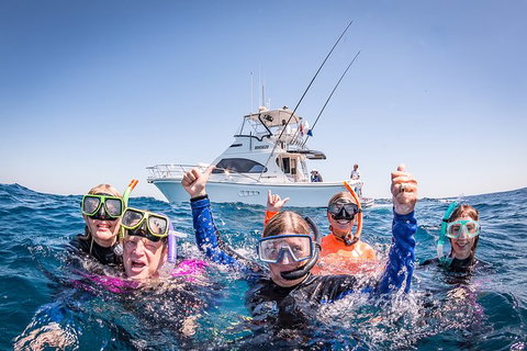 Life On Ningaloo Swimming Tour In Exmouth - Accommodation Coffs Harbour 4