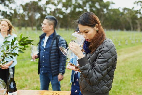 Organic Vineyard/Farm Tour - Accommodation Coffs Harbour 1