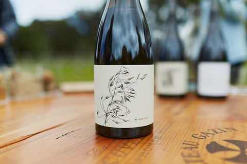 Organic Vineyard/Farm Tour - Accommodation Coffs Harbour 8