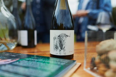 Organic Vineyard/Farm Tour - Accommodation Coffs Harbour 5